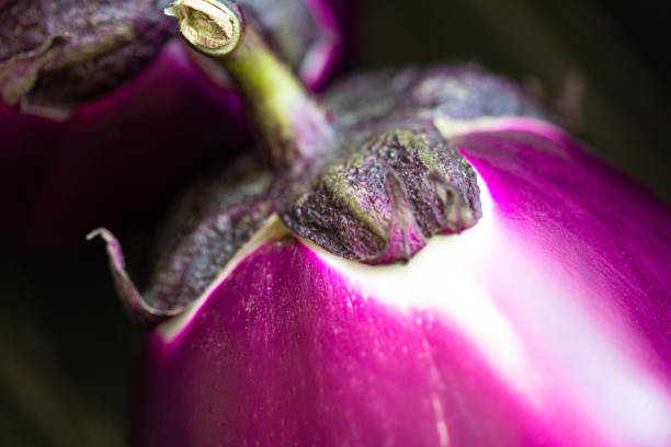 Purple fresh eggplant selective focus. Ripe purple eggplant on black background. Organic vegetable with beautiful shape