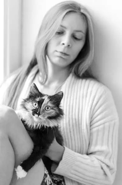 Photo of Young beautiful three-color orange-black-and-white long-hair young cat with her mistress young girl. Focus on cat.