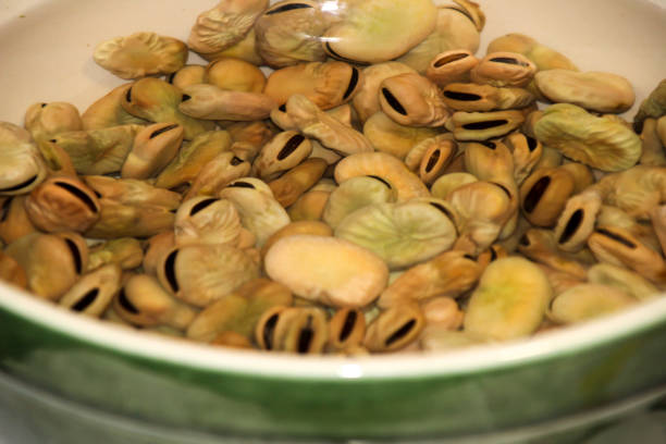 ボウルに水に浸した乾燥したそら豆 - broad bean bean bowl brown ストックフォトと画像