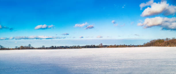 istock Winter Landscape - Field covered in Snow with Trees and Blue Sky 1317302313