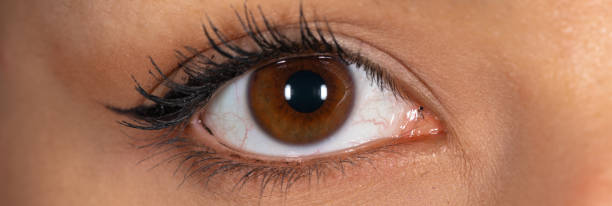Macro view of eye stock photo