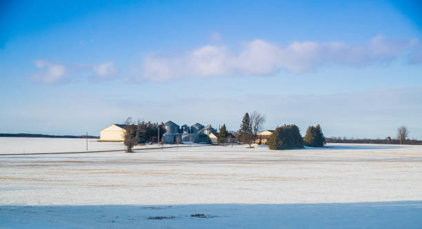 istock Winter Landscape - Farm Field covered in Snow with Barn 1317303008