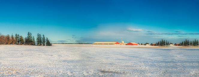 Winter Landscape - Farm Field covered in Snow with Red Barn