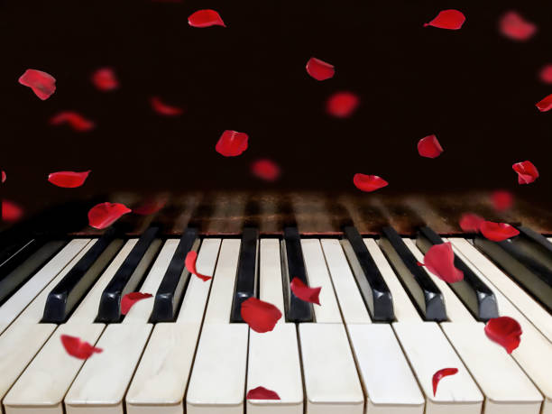 A bouquet of pink roses and notes on the piano keyboard. The concept of a musical education and concerts.