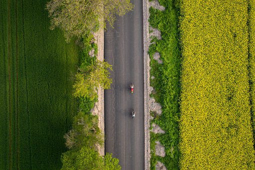 Drone shot of two cyclist and their shadows projecting on the road at sunset