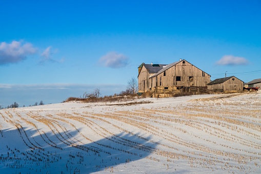 Winter Landscape - Old Wooden Barn Falling apart