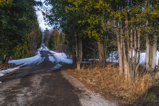 Winter Landscape - Dirt Driveway
