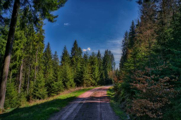 impressions from the Rennsteig in the Thuringian Forest