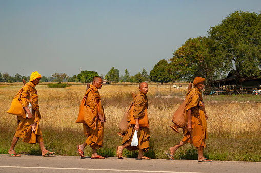 kalasin thailand  november \n 22  - 2005  four unknown monks walk on a country road together in thailand in the city of kalasin in isaan province
