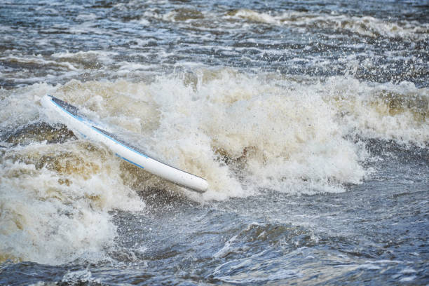 istock stand up paddleboard with a paddler under water in a rapid 1317310835