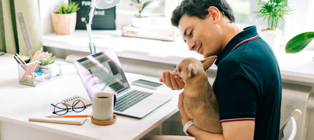 istock The young man with dog c typing on laptop 1317310967
