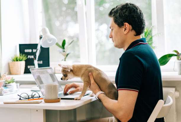 istock The young man with dog c typing on laptop 1317311246