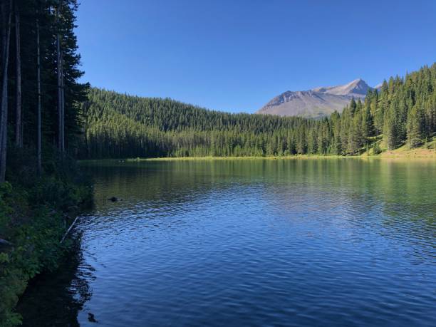 istock Chinook Allison Lake near Crowsnest Pass, Alberta, Canada. 1317315319