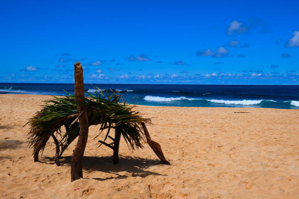 istock Shade hut on the beach 1317315337