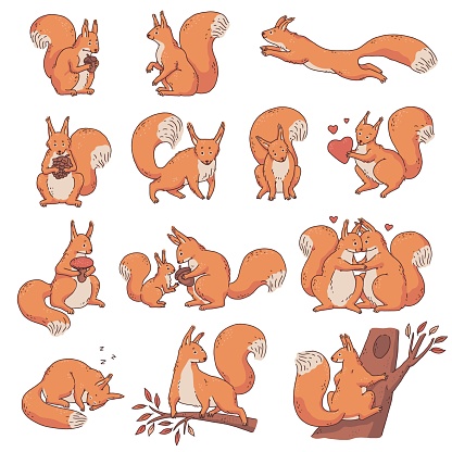 squirrel animals and nuts squirrels are small with big bushy tails vecteur  gratuit | AI, SVG et EPS | Page 32