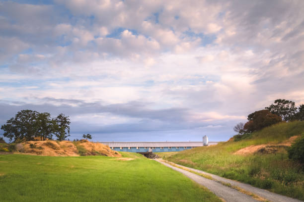 istock West Saanich. Victoria, BC 1317316937