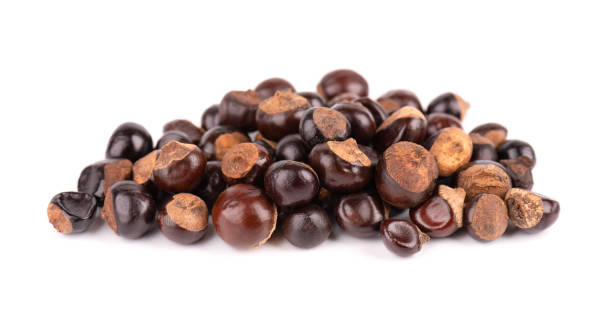 istock Guarana seed isolated on white background. Dietary supplement guarana, caffeine cource for energy drinks. Paullinia cupana. 1317317991