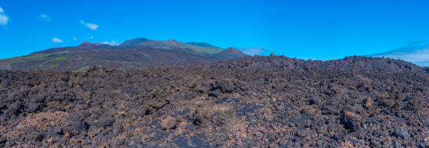 paisaje volcánico de la palma, islas canarias, españa. - crater rim fotografías e imágenes de stock