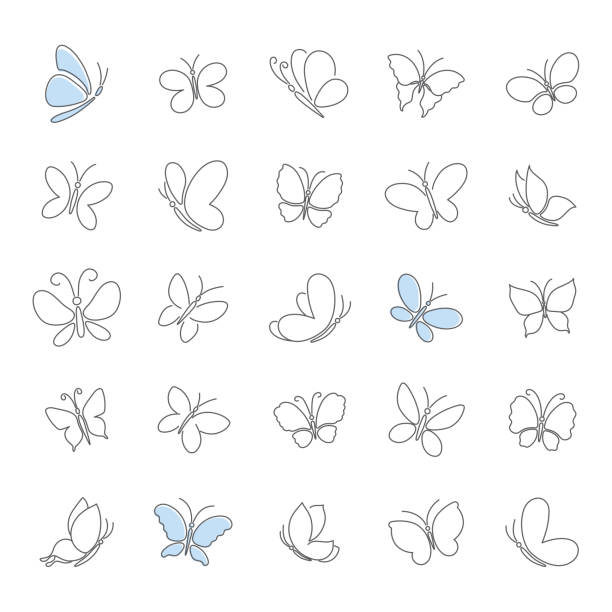 Vector set of contour butterfly. Simple butterfly outline icons. Vector set of contour butterfly. Simple butterfly outline icons. simple butterfly outline pictures stock illustrations