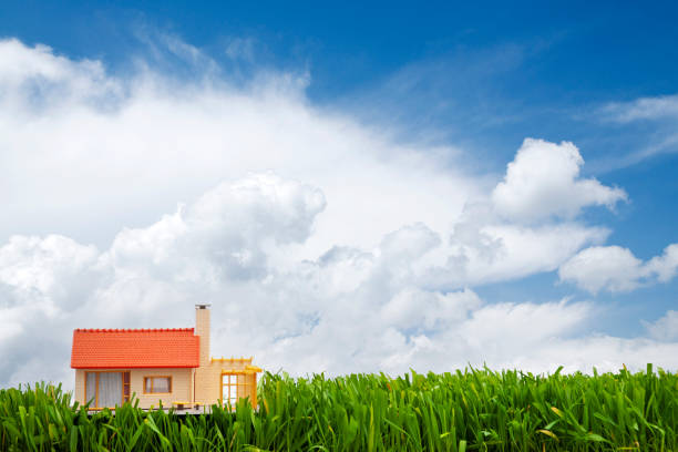 A house in a hollow surrounded by green fields near the cliffs at Lizard Point in Cornwall