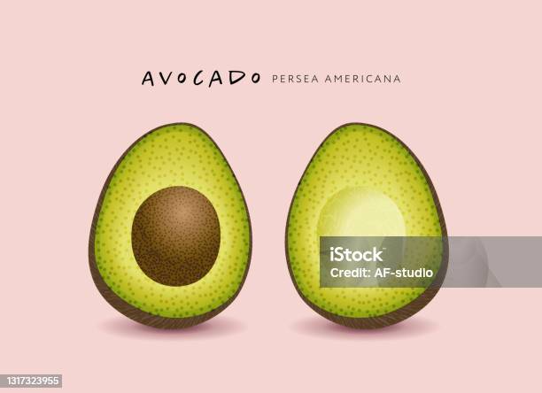 Avocado Stock Illustration - Download Image Now - Avocado, Cut Out, Vegetable