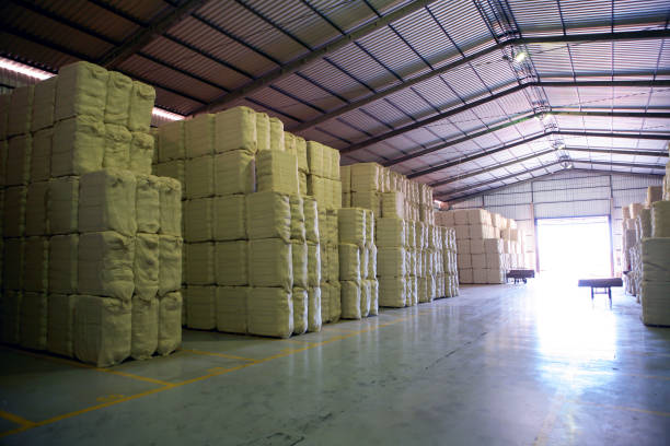 istock Warehouse with cotton bales 1317324835
