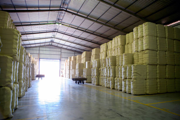 istock Warehouse with cotton bales 1317324836