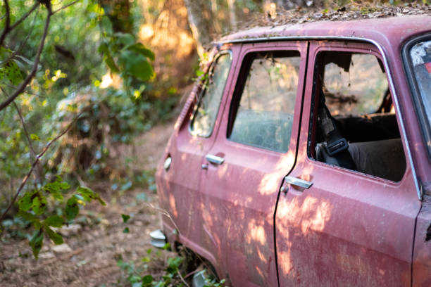 istock Red abandoned broken and rusty car in the middle of the forest 1317326287