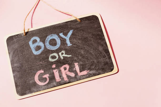 istock Gender reveal party decorations 1317326298