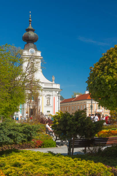 istock Poland, Malopolska, Wadowice, Market Square, Basilica 1317333203