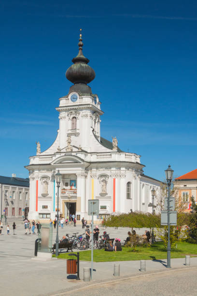 istock Poland, Malopolska, Wadowice, Market Square, Basilica 1317333207