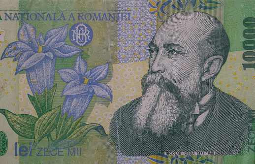 Fragment of 10000 Romanian lei banknote, 1999 Series - polymer, for design purpose