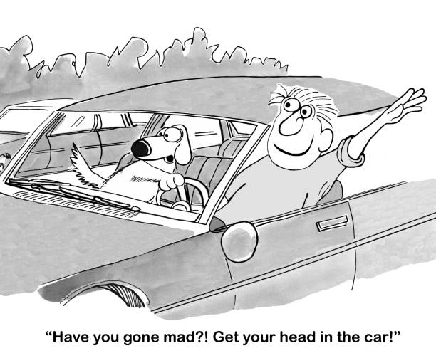 1,410 Insurance Humor Illustrations & Clip Art - iStock | Life insurance  fat, Doctor humor