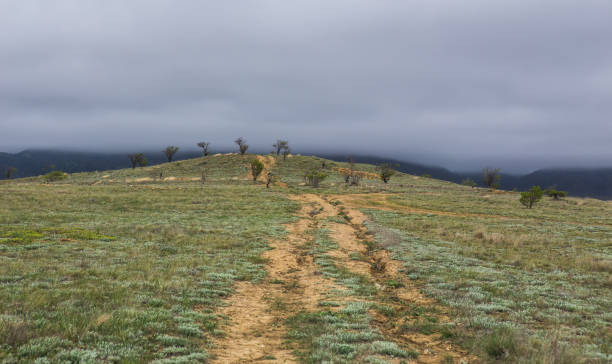 istock Landscape with thick fog in the mountains 1317340238