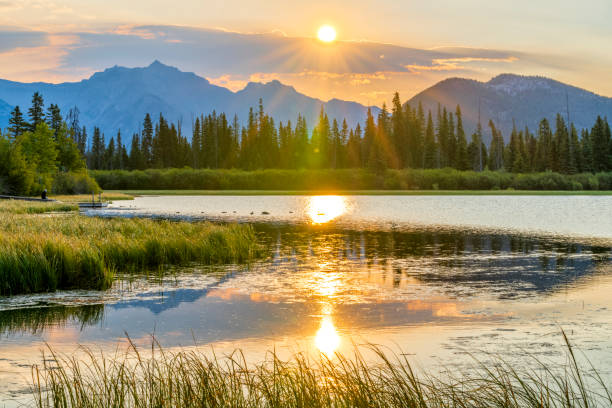 istock Banff National Park in Alberta Canada 1317343666