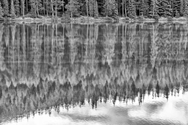 istock Banff National Park in Alberta Canada 1317343743