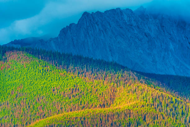 istock Jasper National Park in Alberta Canada 1317343819