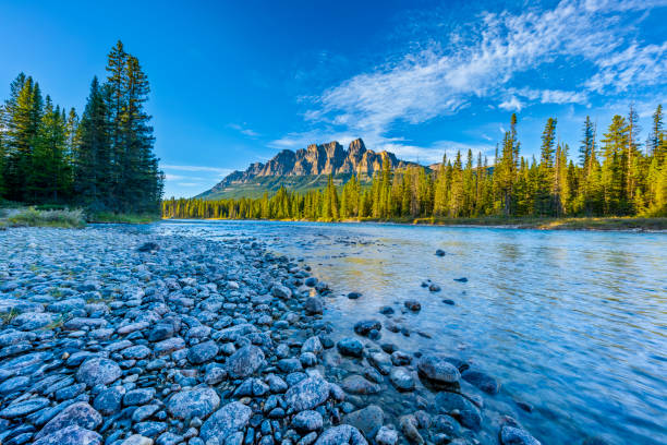 Banff National Park in Alberta Canada Castle Mountain and Bow River in National Park in the Canadian Rockies bow river stock pictures, royalty-free photos & images