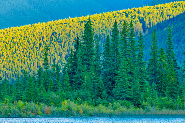 Mount Rundle in Banff National Park in the Canadian Rockies