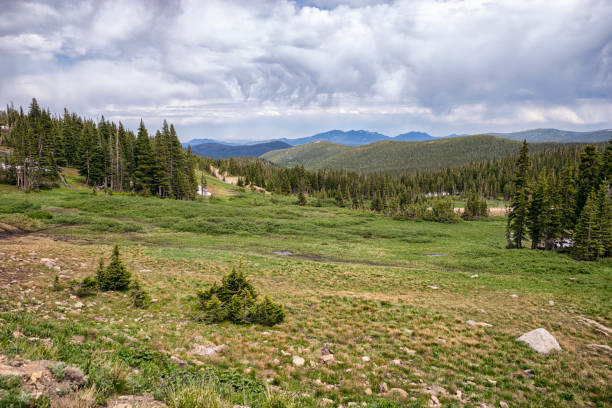 istock Landscape in the James Peak Wilderness, Colorado 1317348897