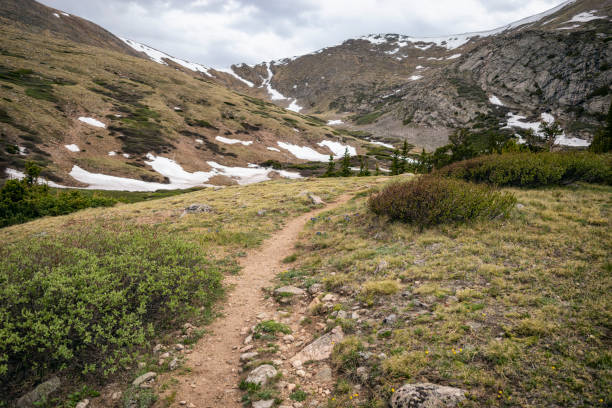 istock Hiking Trail in the Mount Evans Wilderness, Colorado 1317348963