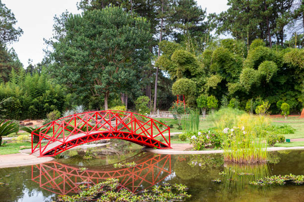 This beautiful oriental garden is an invitation to meditation. The balance between the plants, the water and the small arch bridge form a harmonious whole. This zen space is open to visitors of the Brasilia Botanical Garden