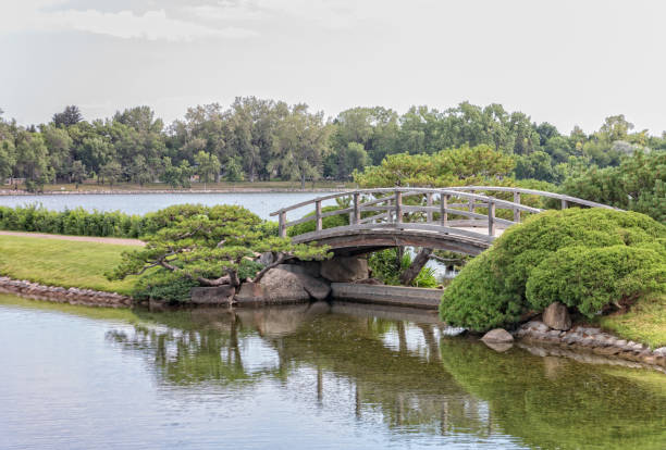 istock wooden foot bridge in a park 1317356034