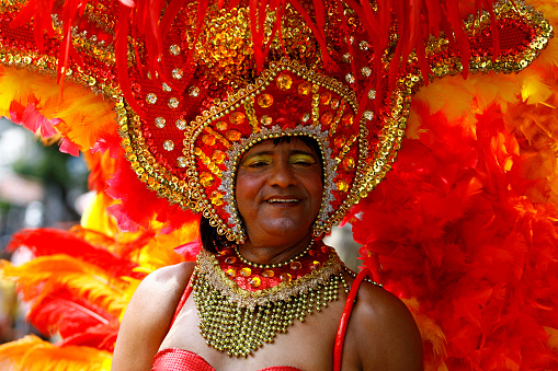 salvador, bahia / brazil - september 21, 2014: person is seen wearing costume during parade of gay parade in the city of Salvador.