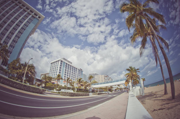 istock Summer in Miami Florida 1317358019