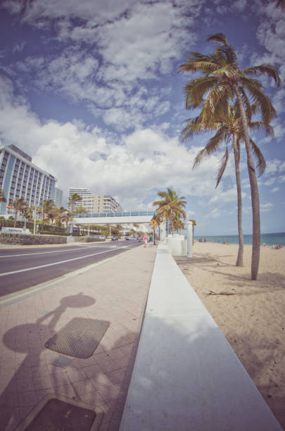 istock Summer in Miami Florida 1317358715