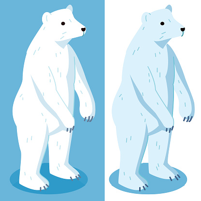 White and blue Polar bear characters