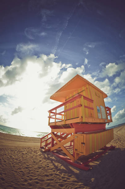 istock Summer in Miami Florida 1317360161