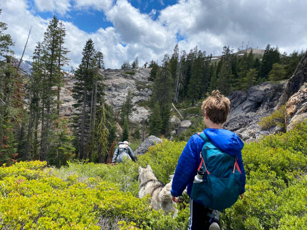 istock Child resting in a beautiful spot above a lake 1317361681