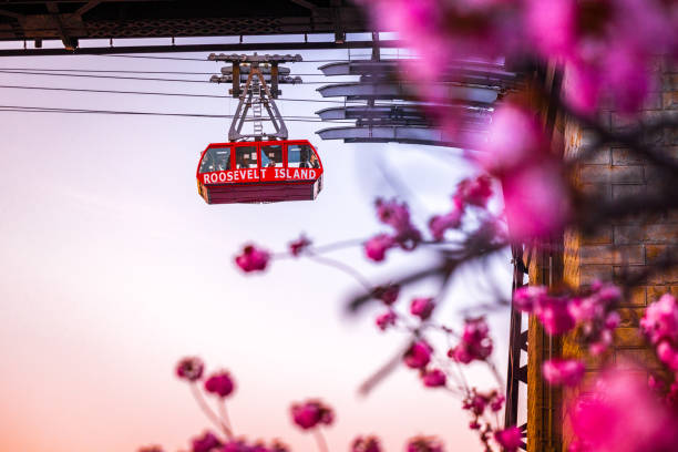 istock Roosevelt Island Tram 1317361775